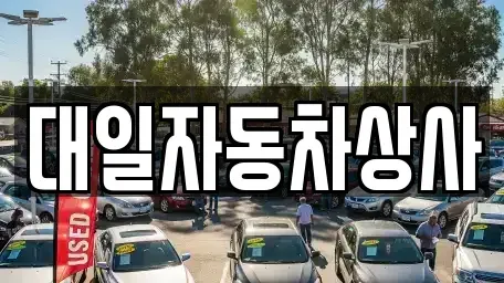 대구 북구 금호동 중고차 전문 대일자동차상사