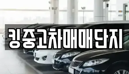 대구 북구 금호동 중고차 전문 킹중고차매매단지