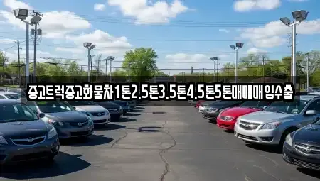대구 북구 금호동 중고차매입 전문 중고트럭중고화물차1톤2.5톤3.5톤4.5톤5톤매매매입수출