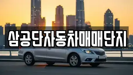 대구 북구 노원동2가 중고차매매 전문 삼공단자동차매매단지