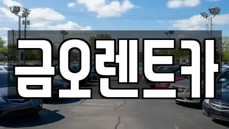 대구 북구 대현동 단기렌트카 전문 금오렌트카