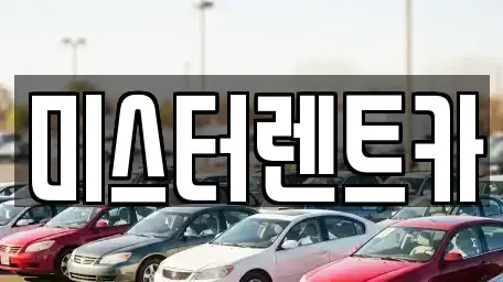 대구 북구 대현동 렌트카 전문 미스터렌트카