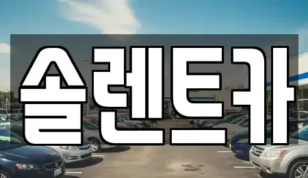 대구 북구 대현동 장기렌트카 전문 솔렌트카
