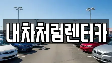 대구 북구 동변동 렌트카 전문 내차처럼렌터카