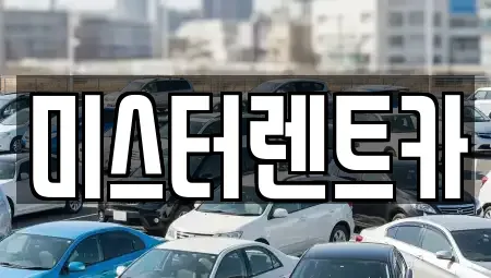 대구 북구 동변동 렌트카 전문 미스터렌트카