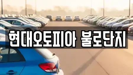 대구 북구 동변동 중고차매매 전문 현대오토피아 불로단지