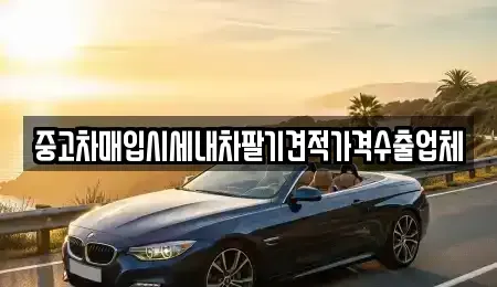 대구 북구 동변동 중고차매입 전문 중고차매입시세내차팔기견적가격수출업체