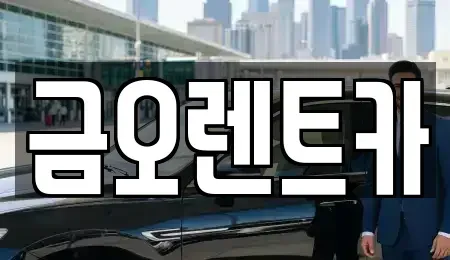 대구 북구 산격동 단기렌트카 전문 금오렌트카