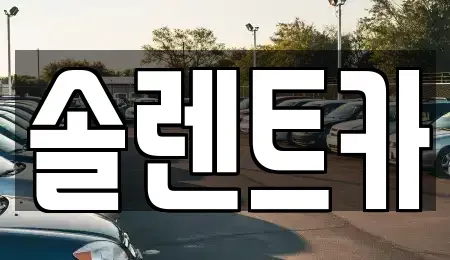 대구 북구 산격동 장기렌트카 전문 솔렌트카