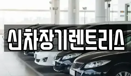 대구 북구 산격동 장기렌트카 전문 신차장기렌트리스