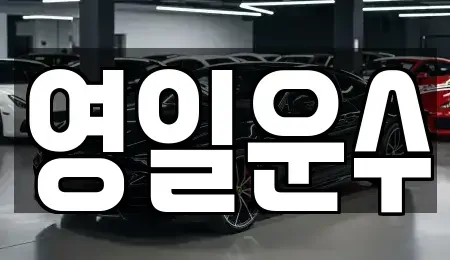 대구 북구 칠성동1가 렌트카 전문 영일운수