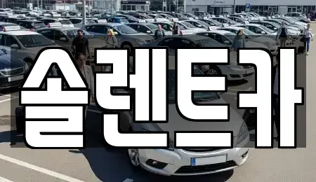 대구 북구 칠성동1가 장기렌트카 전문 솔렌트카