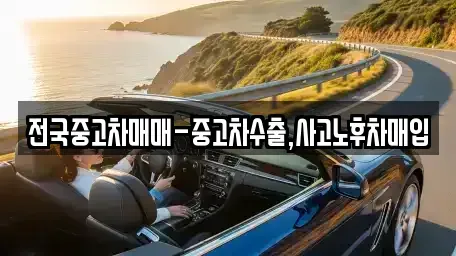 대구 북구 칠성동1가 중고차 전문 전국중고차매매-중고차수출,사고노후차매입