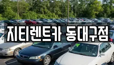 대구 수성구 고모동 렌트카 전문 지티렌트카 동대구점