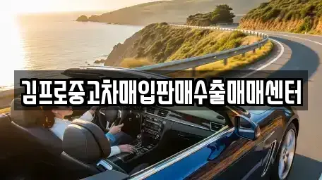 대구 수성구 고모동 중고차매입 전문 김프로중고차매입판매수출매매센터