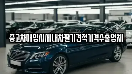 대구 수성구 고모동 중고차매입 전문 중고차매입시세내차팔기견적가격수출업체