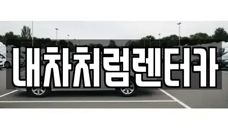 대구 중구 삼덕동1가 렌트카 전문 내차처럼렌터카