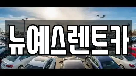 대구 중구 삼덕동1가 렌트카 전문 뉴예스렌트카