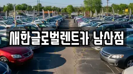 대구 중구 삼덕동1가 렌트카 전문 새한글로벌렌트카 남산점