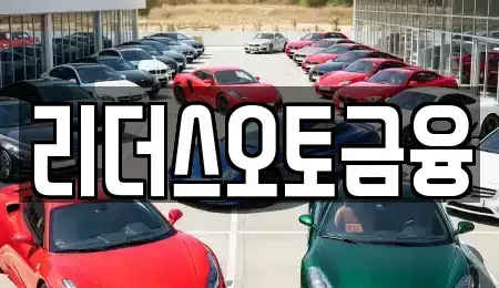 대구 중구 삼덕동1가 장기렌트카 전문 리더스오토금융