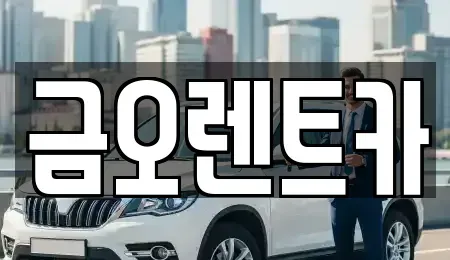 대구 중구 서문로1가 장기렌트카 전문 금오렌트카