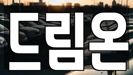 대구 중구 서문로1가 중고차 전문 드림온
