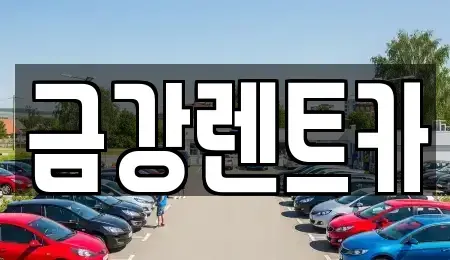 대구광역시 남구 렌트카 전문 금강렌트카
