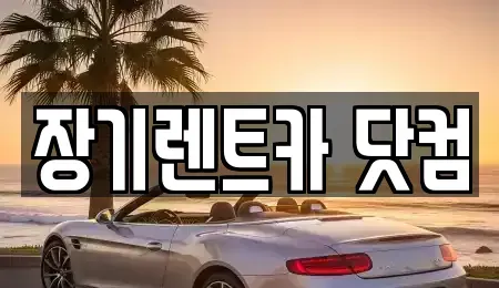 대구광역시 남구 장기렌트카 전문 장기렌트카 닷컴
