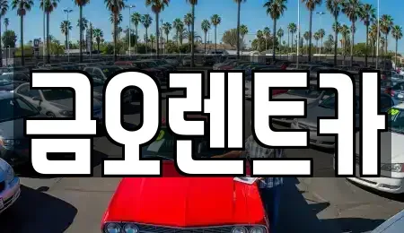 대구광역시 달서구 도원동 렌트카 전문 금오렌트카