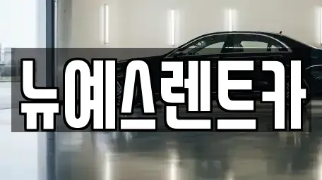 대구광역시 달서구 도원동 렌트카 전문 뉴예스렌트카