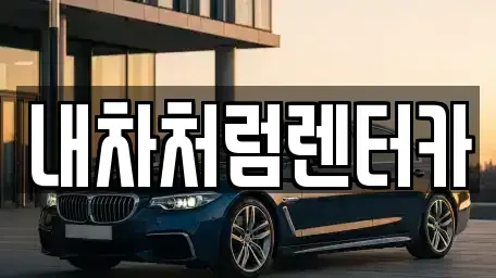 대구광역시 달성군 논공읍 렌트카 전문 내차처럼렌터카