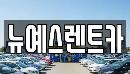 대구광역시 달성군 논공읍 렌트카 전문 뉴예스렌트카