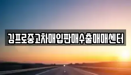 대구광역시 달성군 논공읍 중고차매입 전문 김프로중고차매입판매수출매매센터