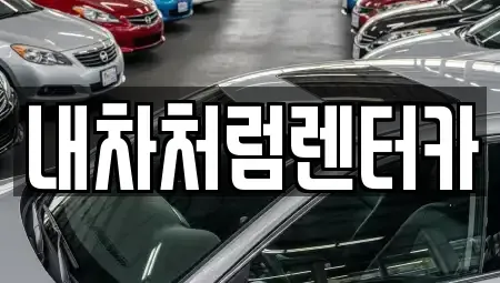 대구광역시 동구 율암동 렌트카 전문 내차처럼렌터카