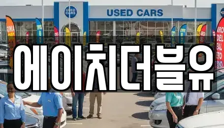 대구광역시 동구 율암동 장기렌트카 전문 에이치더블유