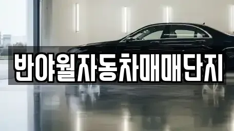 대구광역시 동구 율암동 중고차매매 전문 반야월자동차매매단지