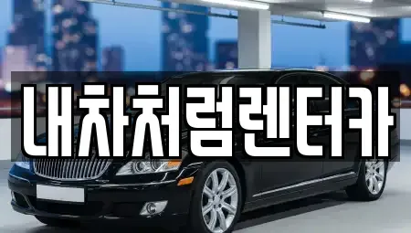 대구광역시 북구 검단동 렌트카 전문 내차처럼렌터카
