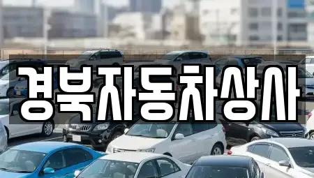 대구광역시 북구 관음동 중고차매매 전문 경북자동차상사