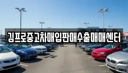 대구광역시 북구 관음동 중고차매매,단기렌트카,중고차매입,장기렌트카,중고차,렌트카