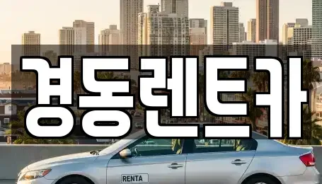 대구광역시 중구 남일동 렌트카 전문 경동렌트카