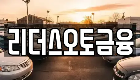 대구광역시 중구 남일동 장기렌트카 전문 리더스오토금융