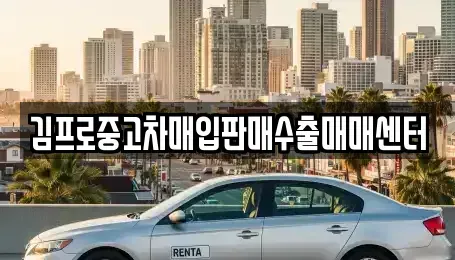대구광역시 중구 남일동 중고차 전문 김프로중고차매입판매수출매매센터