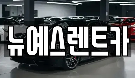 대구광역시 중구 동인동2가 렌트카 전문 뉴예스렌트카