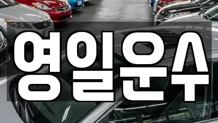 대구광역시 중구 동인동2가 렌트카 전문 영일운수