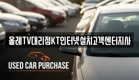 대구광역시 중구 동인동2가 중고차 전문 올레TV대리점KT인터넷설치고객센터지사