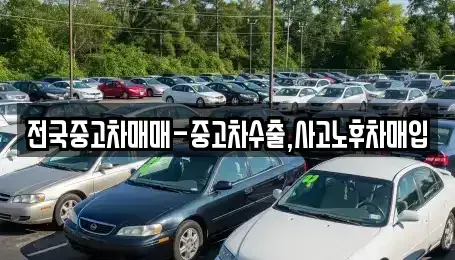 대구광역시 중구 동인동2가 중고차 전문 전국중고차매매-중고차수출,사고노후차매입