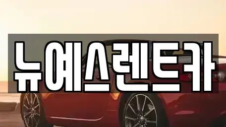 대구광역시 중구 북성로2가 렌트카 전문 뉴예스렌트카