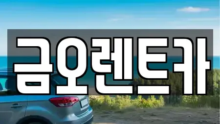 대구광역시 중구 시장북로 단기렌트카 전문 금오렌트카