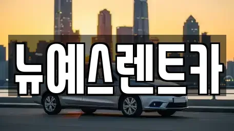대구광역시 중구 시장북로 렌트카,단기렌트카,장기렌트카,중고차,중고차매매,중고차매입