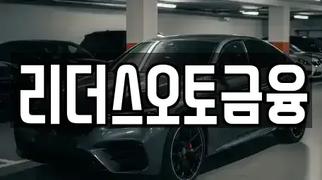 대구광역시 중구 시장북로 장기렌트카 전문 리더스오토금융